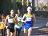 Halbmarathon und Marathon 035